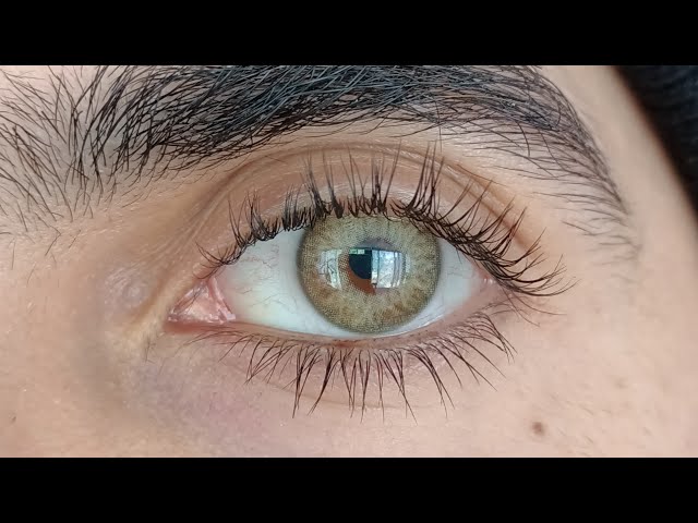 SIESTA ULTRAMOIST CIUDAD DE MEXICO