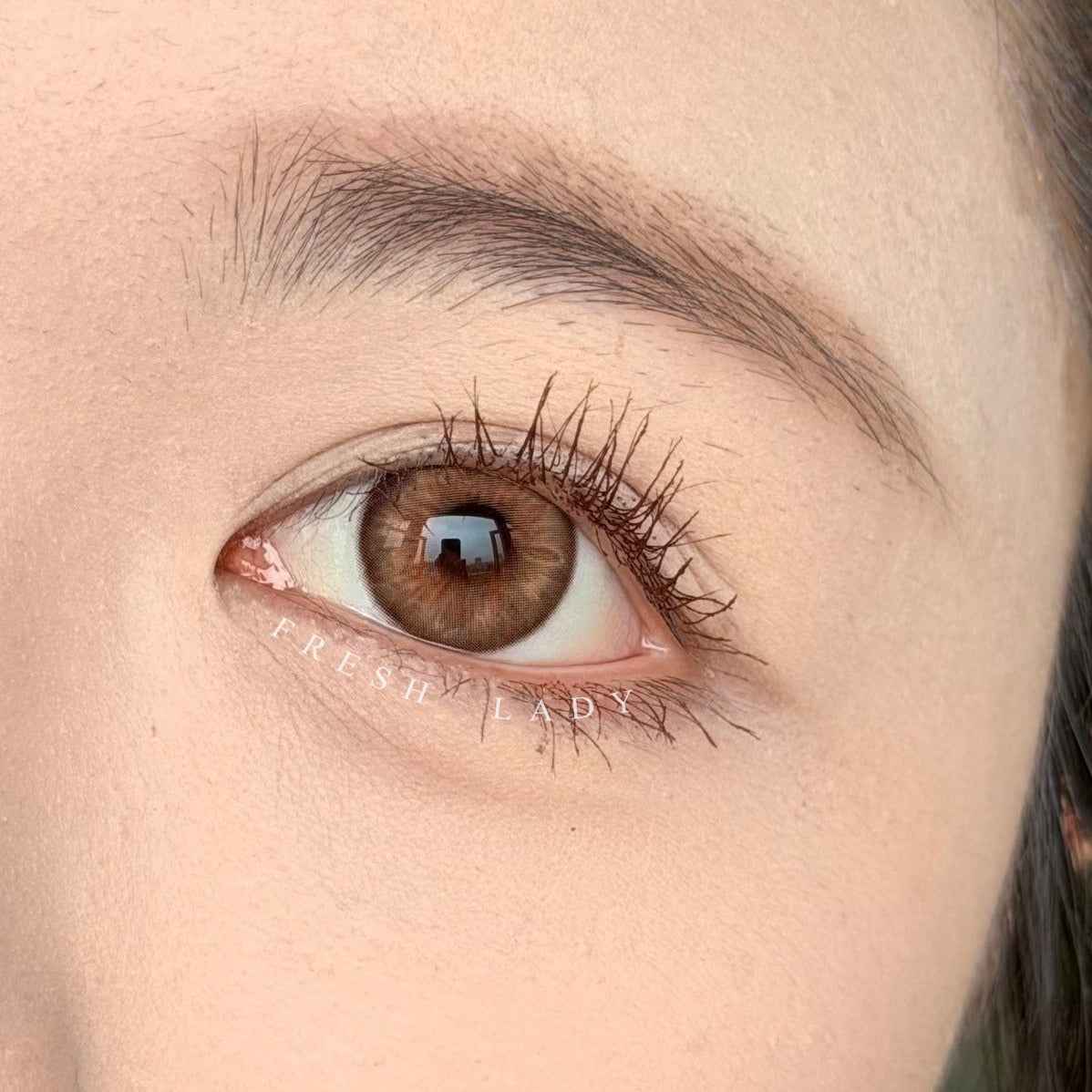 Freshlady Asian Brown