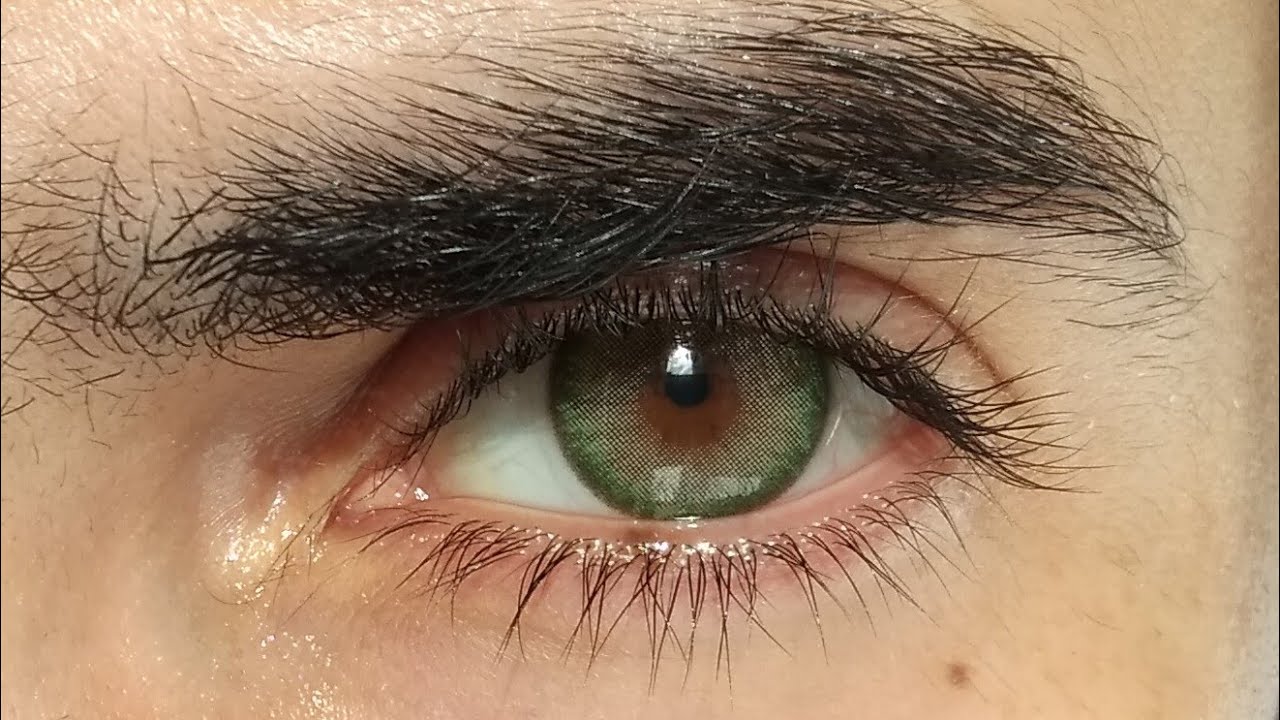 SIESTA ROMANCE GREEN