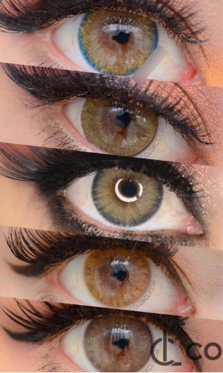 SIESTA MONTHLY SERIE BROWN