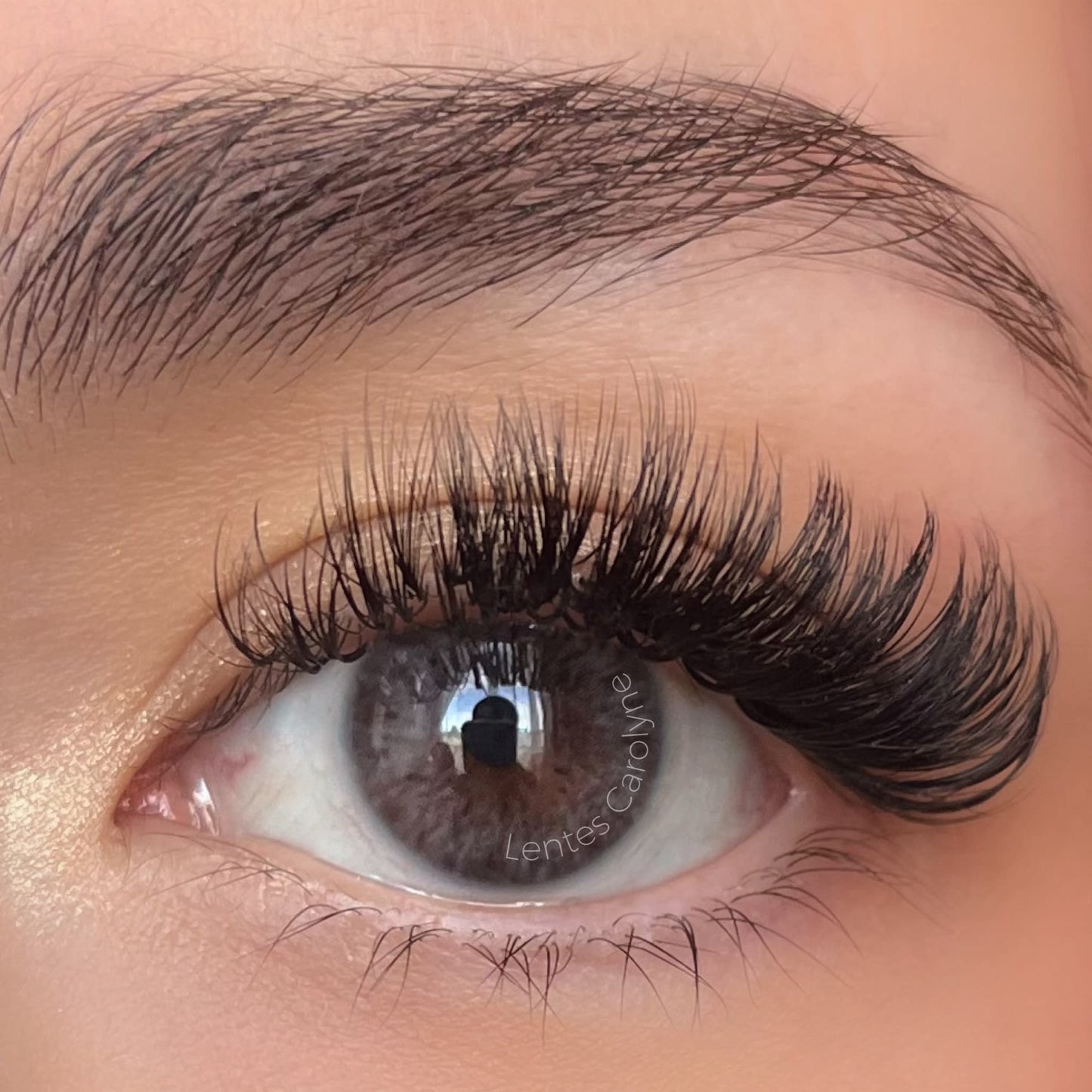 SIESTA PERSONA LOYAL