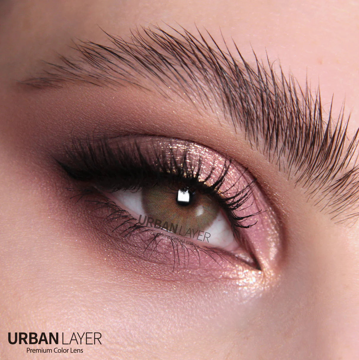 URBAN LAYER ANGELES N BROWN