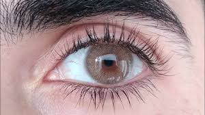 SIESTA  CRISTAL BROWN