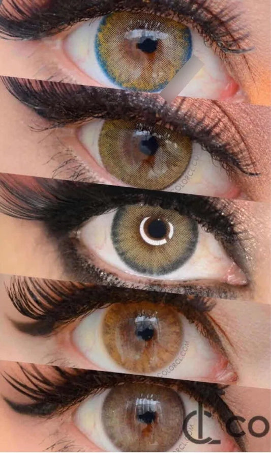 SIESTA MONTHLY SERIE BROWN