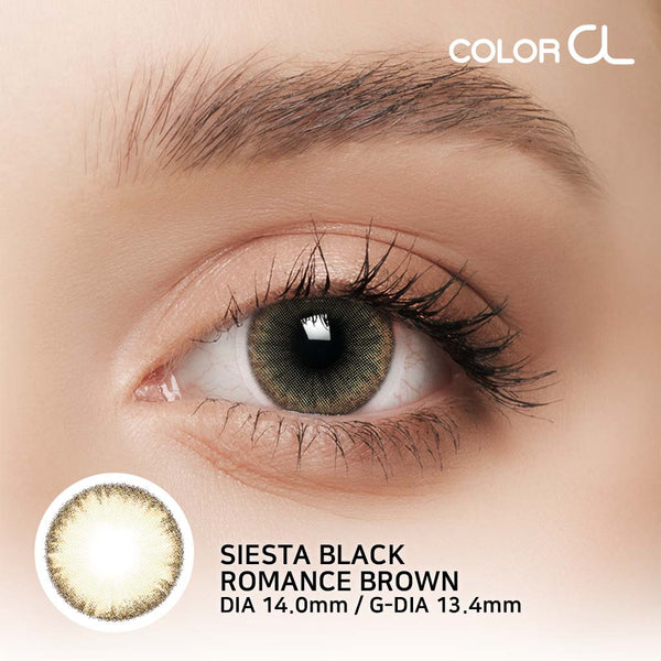 SIESTA ROMANCE BROWN