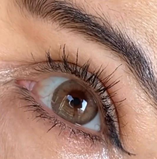 URBAN LAYER HEPBURN BROWN